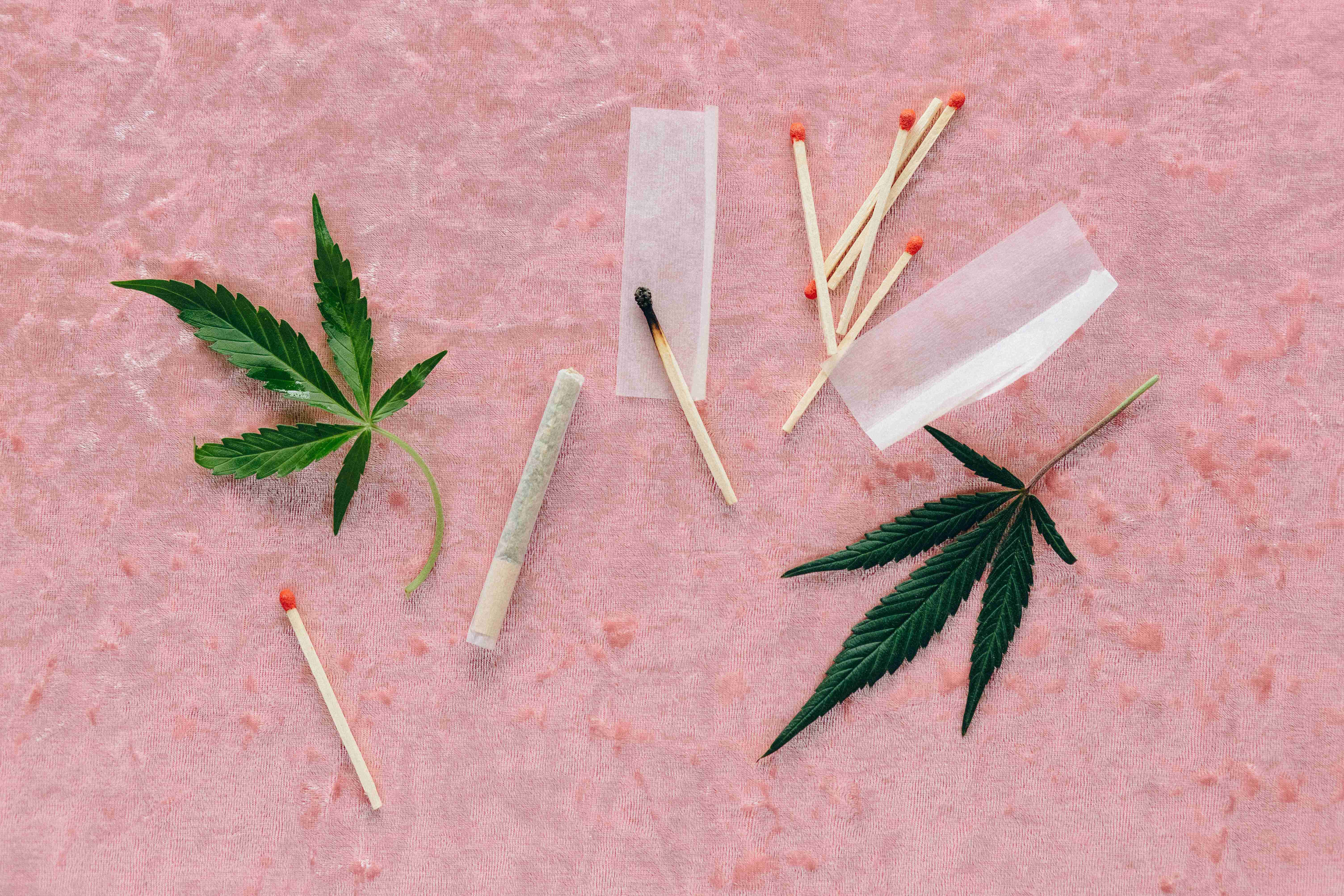 13 Most Cost-Effective Ways to Smoke Cannabis and Save Money on Your Pot Purchases! -  | 